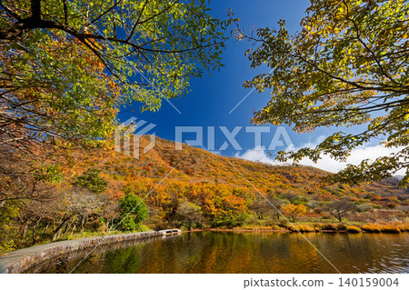 Autumn foliage at Mt. Akagi and Kakumanbuchi 140159004