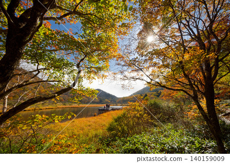 赤城山、角滿淵的紅葉 140159009