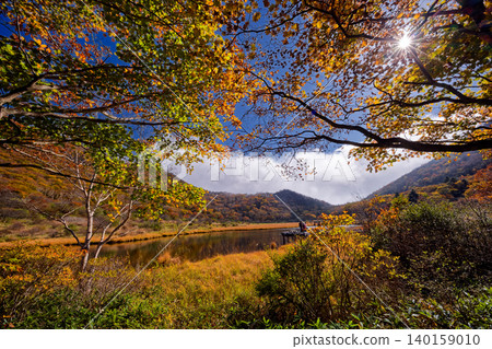 赤城山、角滿淵的紅葉 140159010