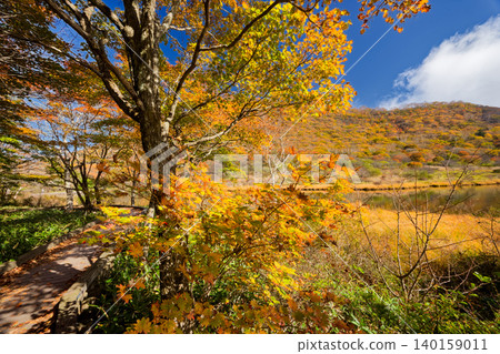 赤城山、角滿淵的紅葉 140159011