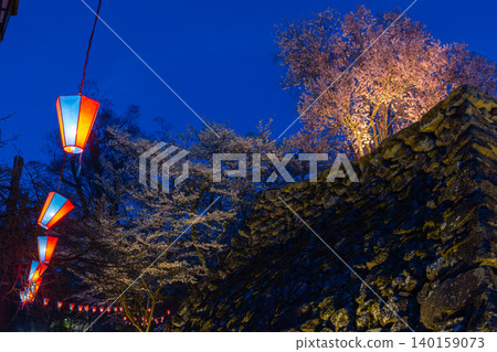 小諸城遺址,海光園,小諸市,長野縣:天守閣的石牆和夜晚燈光照耀下的櫻花。 小諸城遺址,海光園,小諸市,長野縣:天守閣的石牆和夜晚燈光照耀下的櫻花。 140159073