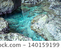 Fish in the remote Apogama 140159199