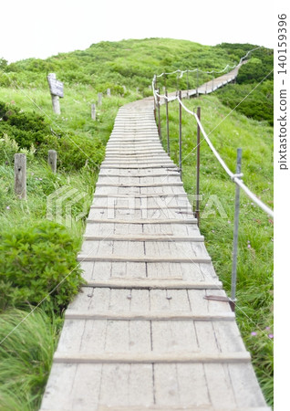 A wooden boardwalk stretches endlessly down the gentle slope near the eighth station of Mt. Daisen, surrounded by beautiful clusters of alpine plants (Daisen Town, Tottori Prefecture). A wooden boardwalk stretches endlessly down the gentle slope near the eighth station of Mt. Daisen, surrounded by beautiful clusters of alpine plants (Daisen Town, Tottori Prefecture). 140159396