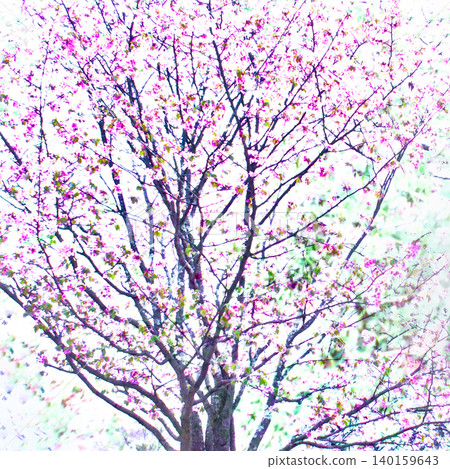 A lovely, picture-perfect multiple exposure photograph of cherry blossoms taken with a camera. A lovely, picture-perfect multiple exposure photograph of cherry blossoms taken with a camera. 140159643