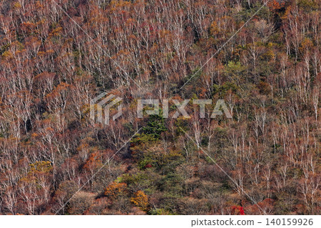 Autumn foliage on the mountain slopes as seen from Mt. Akagi and Mt. Komagatake 140159926