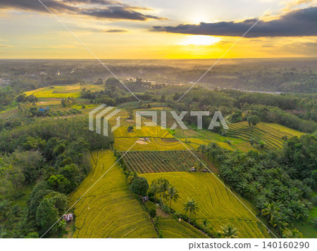 Beautiful morning view in Indonesia, panoramic landscape of rice fields with mountain ranges and clear sky Beautiful morning view in Indonesia, panoramic landscape of rice fields with mountain ranges and clear sky 140160290