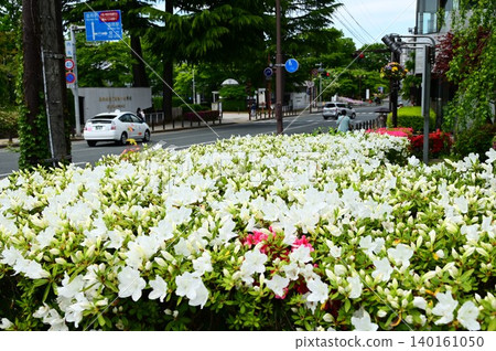 May in Morioka City, the City of Trees and Water May in Morioka City, the City of Trees and Water 140161050