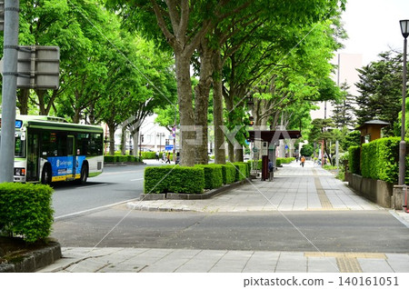 May in Morioka City, the City of Trees and Water 140161051
