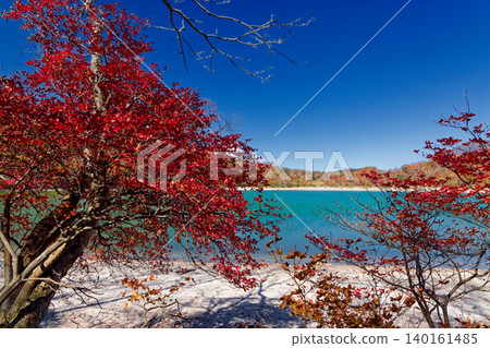 Autumn foliage scenery of Mt. Akagi and Lake Konuma Autumn foliage scenery of Mt. Akagi and Lake Konuma 140161485