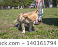 狗狗喝水/寵物水瓶 140161794