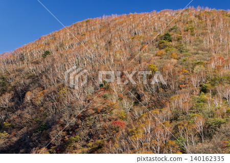 Autumn foliage on the slopes of Mt. Akagi and Mt. Kurohime Autumn foliage on the slopes of Mt. Akagi and Mt. Kurohime 140162335