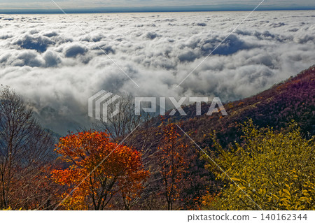 從赤城山和黑姬山眺望,秋葉掩映下,雲海翻騰。 從赤城山和黑姬山眺望,秋葉掩映下,雲海翻騰。 140162344