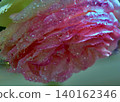 May, dawn with a light drizzle. 140162346