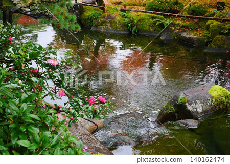 Flower floating in the pond Flower floating in the pond 140162474