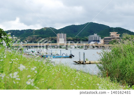 世田川沿岸的綠樹成蔭的景色以及世田原橋（陰天） 140162481