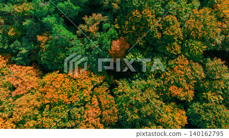 An overhead perspective captures the transition of seasons with a mix of green and orange leaves creating a beautiful natural mosaic An overhead perspective captures the transition of seasons with a mix of green and orange leaves creating a beautiful natural mosaic 140162795