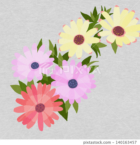 手繪花卉插圖:非洲菊 手繪花卉插圖:非洲菊 140163457