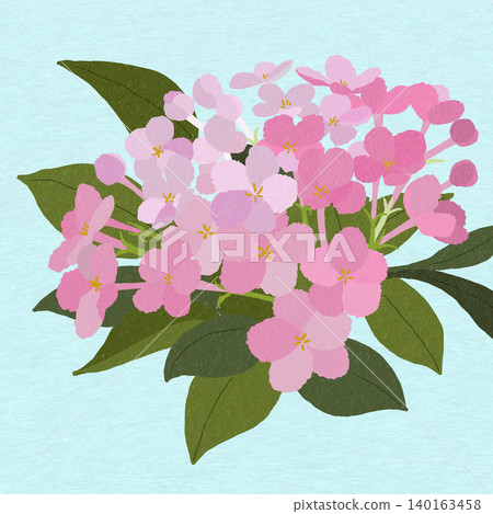 Hand-drawn flower illustration: Luculia 140163458