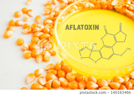 Corn chemical molecular structure of aflatoxin. 140163466