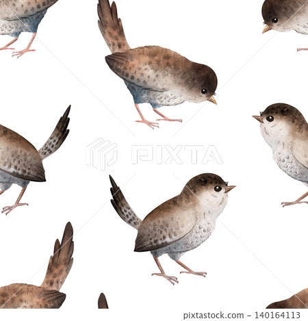 Seamless watercolor pattern with cute wrens in different poses. Hand painted woodland bird design isolated on light background Seamless watercolor pattern with cute wrens in different poses. Hand painted woodland bird design isolated on light background 140164113