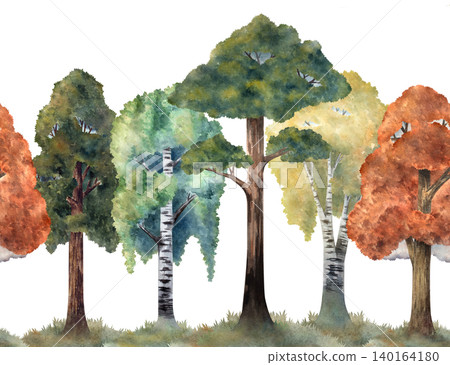 Seamless watercolor forest border with trees, pine, birch, maple, oak. Hand painted landscape illustration. Ideal for backgrounds, children's books, prints, packaging, textile design, nature projects Seamless watercolor forest border with trees, pine, birch, maple, oak. Hand painted landscape illustration. Ideal for backgrounds, children's books, prints, packaging, textile design, nature projects 140164180