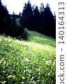 Flowers blooming in the mountains of the Alps 140164313