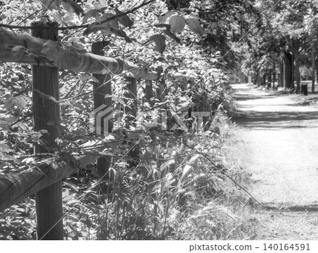 fence with a metal fence fence with a metal fence 140164591
