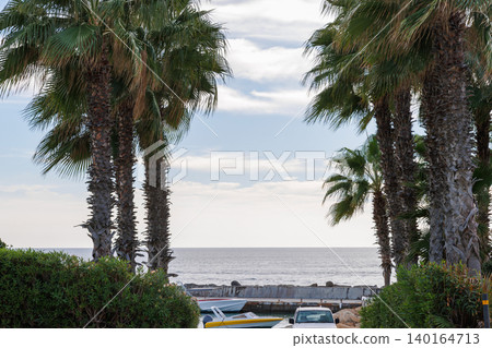 View of the Mediterranean sea framed by tall palm trees in Paphos, Cyprus. Coastal travel scene View of the Mediterranean sea framed by tall palm trees in Paphos, Cyprus. Coastal travel scene 140164713
