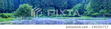 Iris colony at Hiraike Pond (panorama) Iris colony at Hiraike Pond (panorama) 140165717
