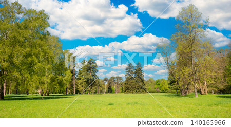 Green park forest panorama with green trees Green park forest panorama with green trees 140165966