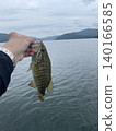 黑鱸魚抓住了 140166585