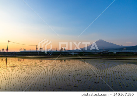 Mount Fuji reflected in the rice paddies at dusk after the rice planting is finished. Mount Fuji reflected in the rice paddies at dusk after the rice planting is finished. 140167190
