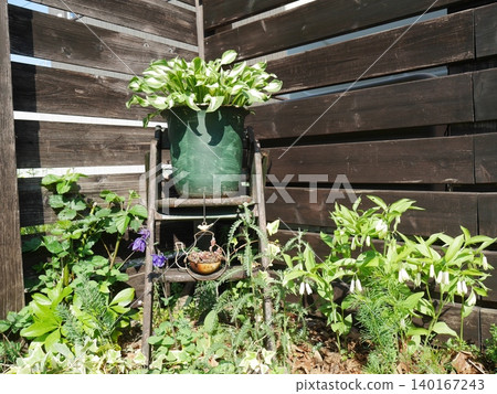 A garden with a wall A garden with a wall 140167243