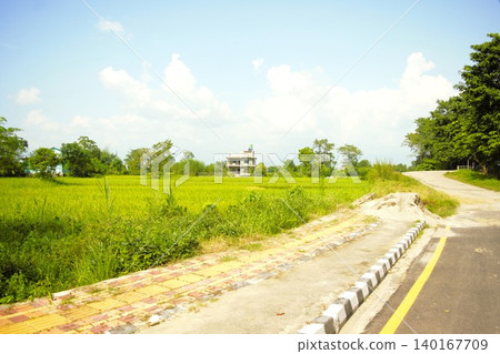 Rural landscape in Sauraha village (Nepal) Rural landscape in Sauraha village (Nepal) 140167709