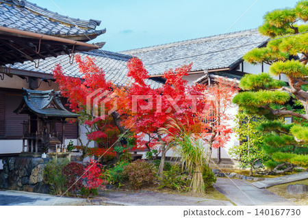 Autumn at Donkain Monzeki Temple Autumn at Donkain Monzeki Temple 140167730