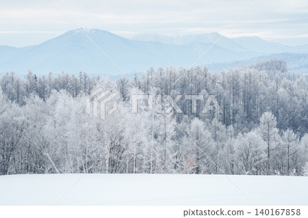 美瑛與富良野：寒冷的清晨，覆蓋著霜雪的森林和雪景。 140167858