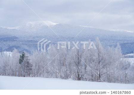 美瑛與富良野:寒冷的清晨,覆蓋著霜雪的森林和雪景。 美瑛與富良野:寒冷的清晨,覆蓋著霜雪的森林和雪景。 140167860