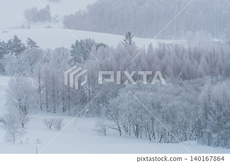 美瑛與富良野:寒冷的清晨,覆蓋著霜雪的森林和雪景。 美瑛與富良野:寒冷的清晨,覆蓋著霜雪的森林和雪景。 140167864
