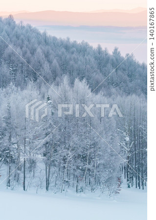 美瑛與富良野:寒冷的清晨,覆蓋著霜雪的森林和雪景。 美瑛與富良野:寒冷的清晨,覆蓋著霜雪的森林和雪景。 140167865
