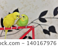 Lime and Melon, two budgies who are good friends. 140167976
