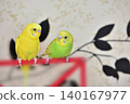 Lime and Melon, two budgies who are good friends. 140167977