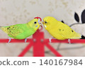 Lime and Melon, two budgies who are good friends. 140167984