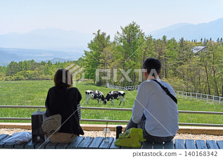 Two people relaxing and watching cows grazing in a peaceful highland pasture at Makiba Park. Two people relaxing and watching cows grazing in a peaceful highland pasture at Makiba Park. 140168342