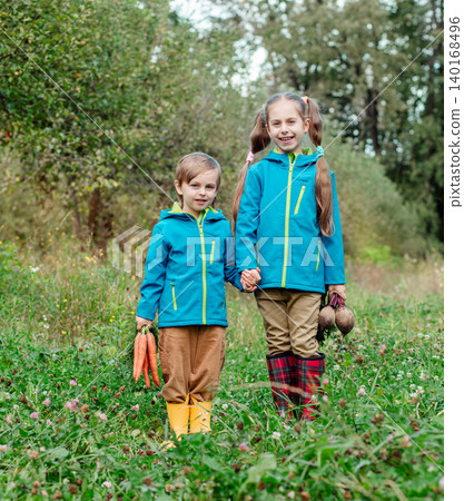 Two children holding hands, carrying fresh carrots beet while walking through orchard autumn harvest Two children holding hands, carrying fresh carrots beet while walking through orchard autumn harvest 140168496