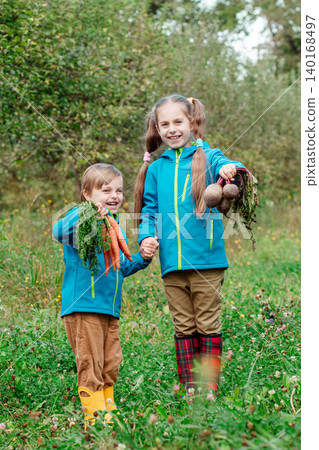 Two children holding hands, carrying fresh carrots beet while walking through orchard autumn harvest 140168497