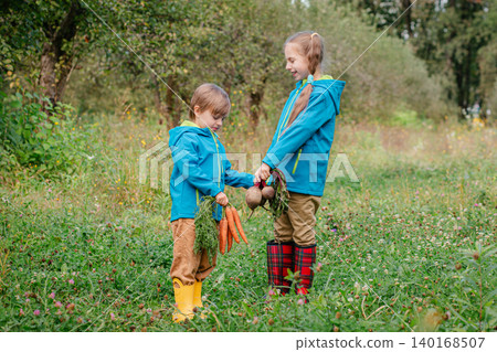 Two children holding hands, carrying fresh carrots beet while walking through orchard autumn harvest Two children holding hands, carrying fresh carrots beet while walking through orchard autumn harvest 140168507