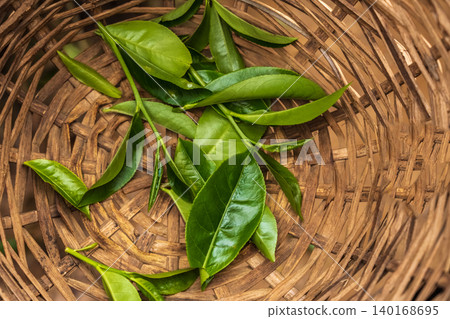 Young green tea leaves at the bottom of the basket Young green tea leaves at the bottom of the basket 140168695