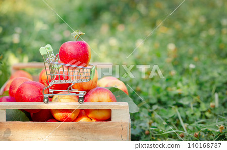 Red apple placed in miniature shopping cart on wooden crate filled with fresh apples in orchard. Red apple placed in miniature shopping cart on wooden crate filled with fresh apples in orchard. 140168787