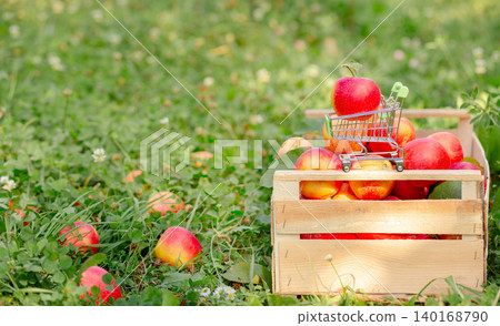 Red apple placed in miniature shopping cart Red apple placed in miniature shopping cart 140168790