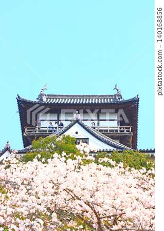 Inuyama Castle and cherry blossoms in Inuyama City, Aichi Prefecture. Inuyama Castle and cherry blossoms in Inuyama City, Aichi Prefecture. 140168856